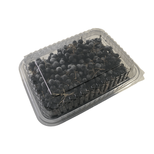 1 KG TAZE ARONYA MEYVESİ
